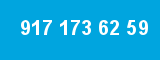 917 173 62 59